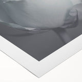 Modern Art Prints – Elegant Black & White Floral Wall Art