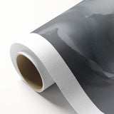 Modern Art Prints – Elegant Black & White Floral Wall Art