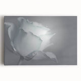 Modern Art Prints – Elegant Black & White Floral Wall Art