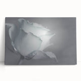 Modern Art Prints – Elegant Black & White Floral Wall Art