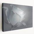 Modern Art Prints – Elegant Black & White Floral Wall Art