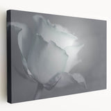 Modern Art Prints – Elegant Black & White Floral Wall Art