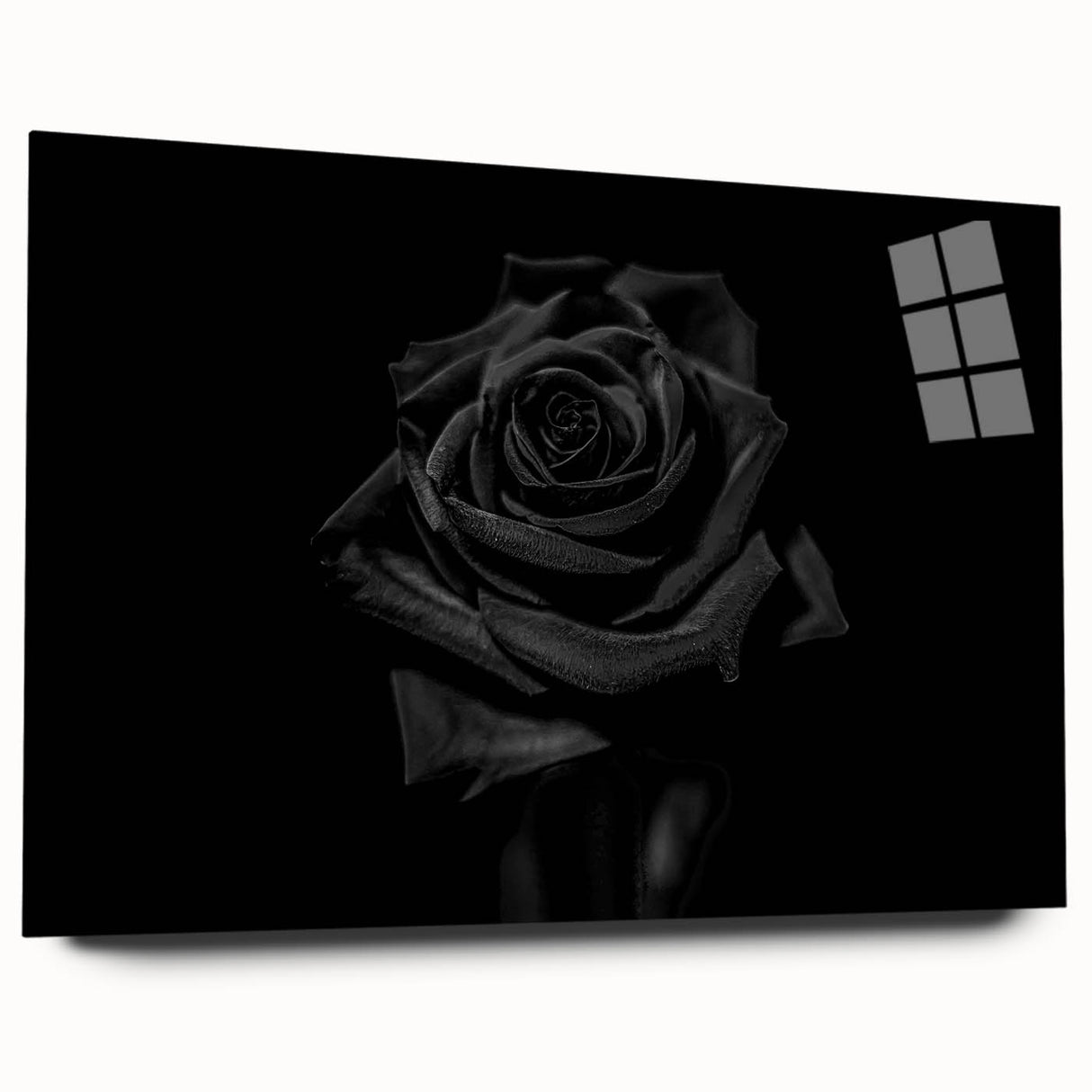 Black Rose Elegance - Fine Art Photography Canvas Prints