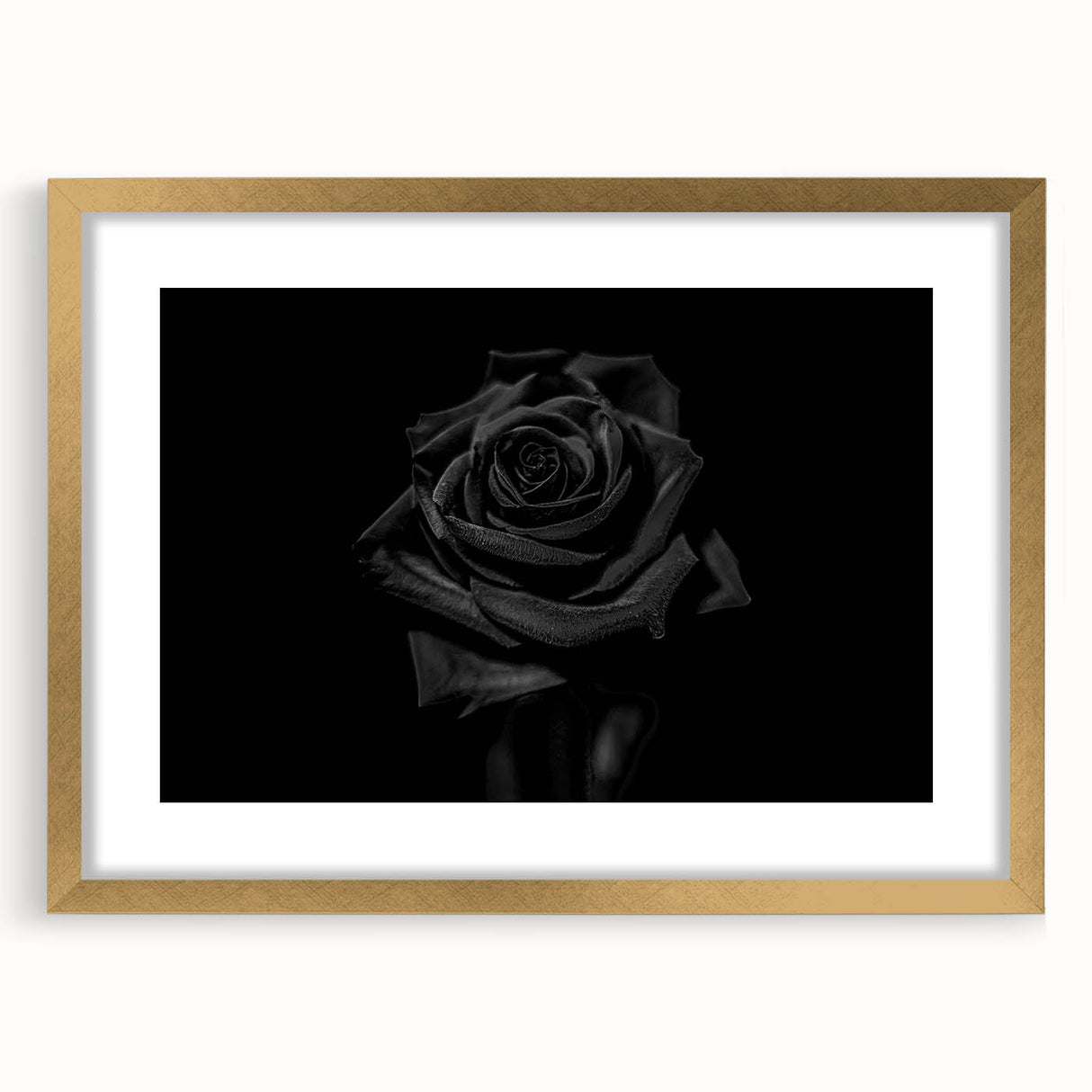 Black Rose Elegance - Fine Art Photography Canvas Prints