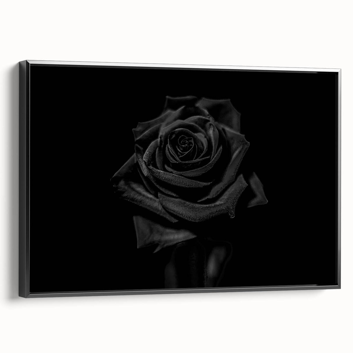 Black Rose Elegance - Fine Art Photography Canvas Prints