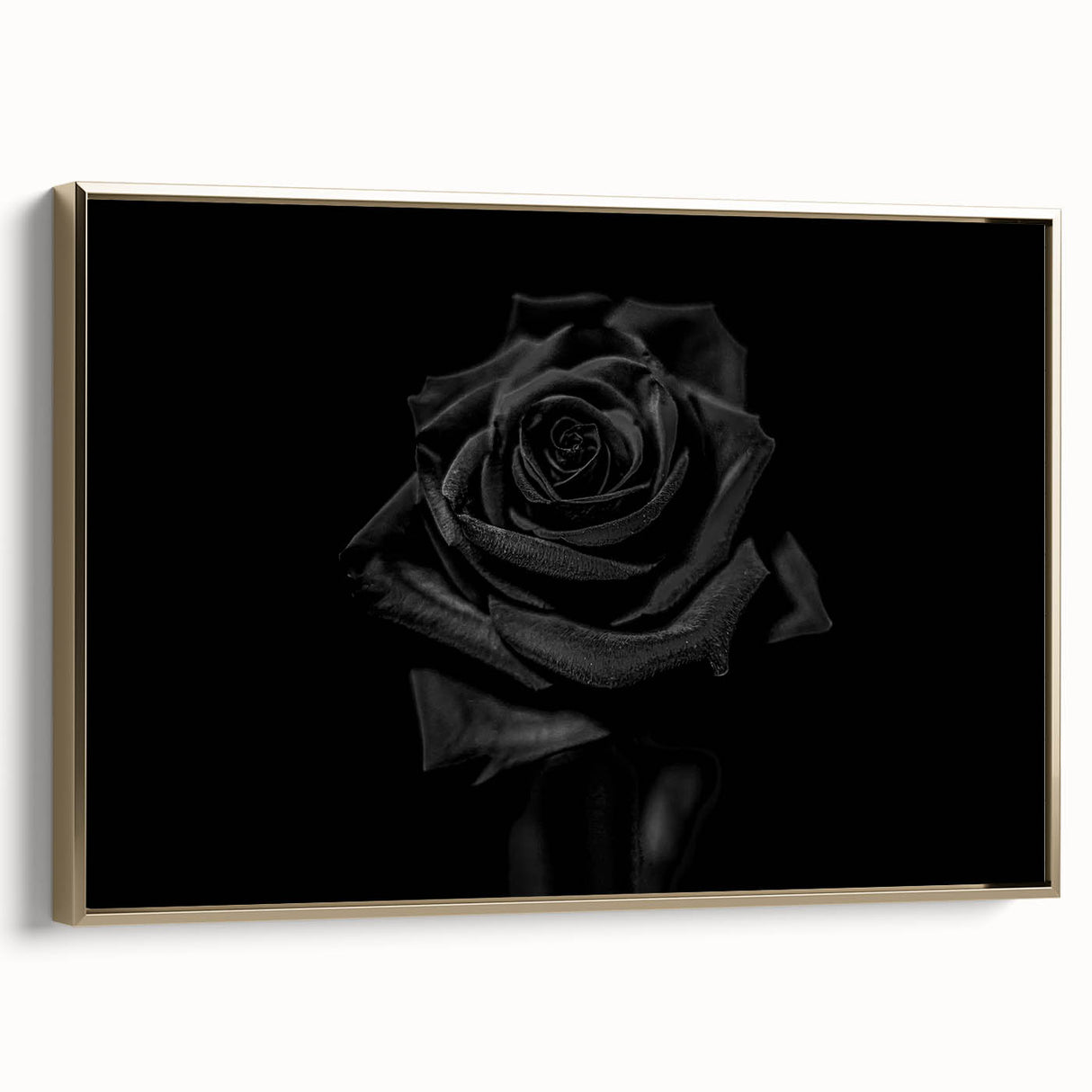 Black Rose Elegance - Fine Art Photography Canvas Prints