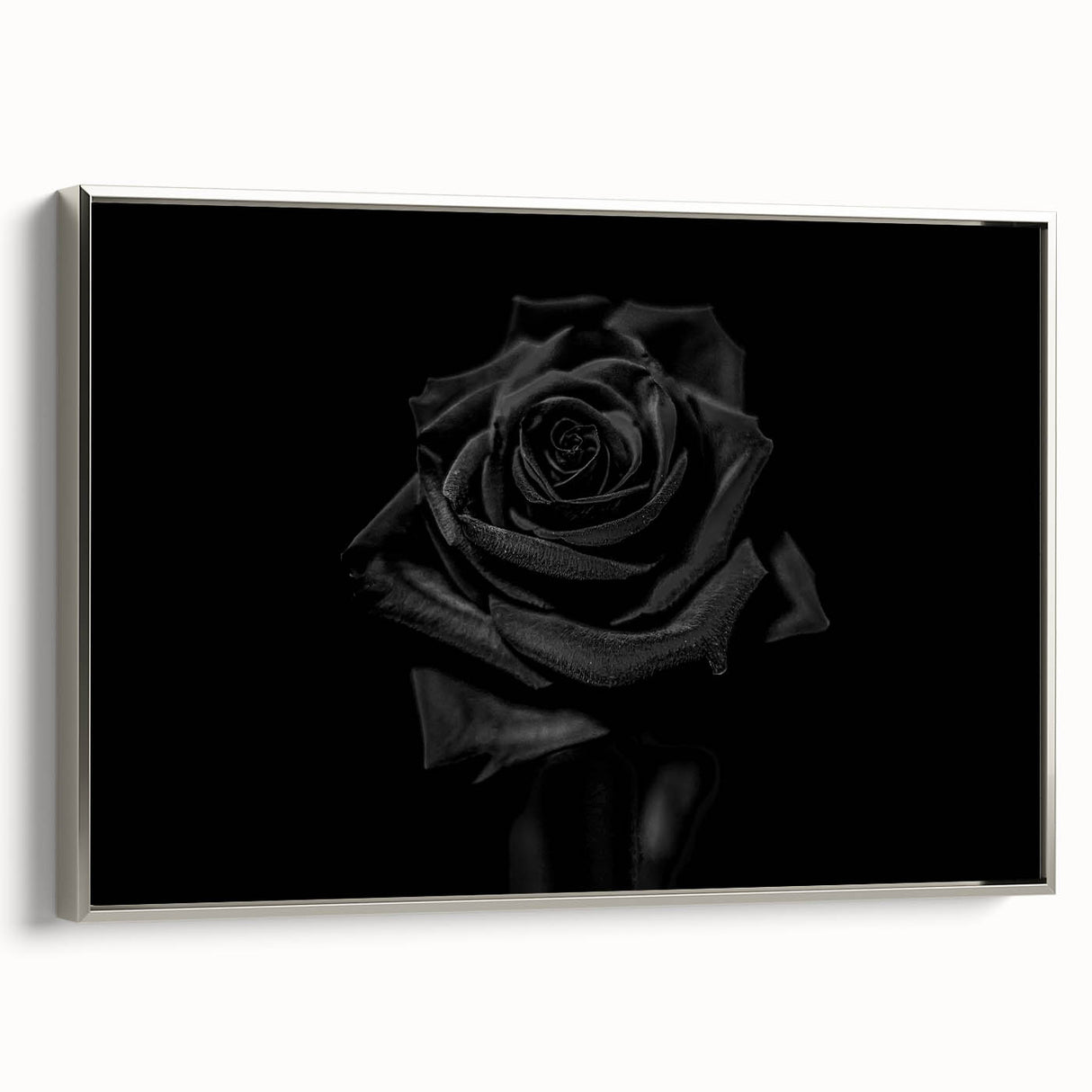 Black Rose Elegance - Fine Art Photography Canvas Prints