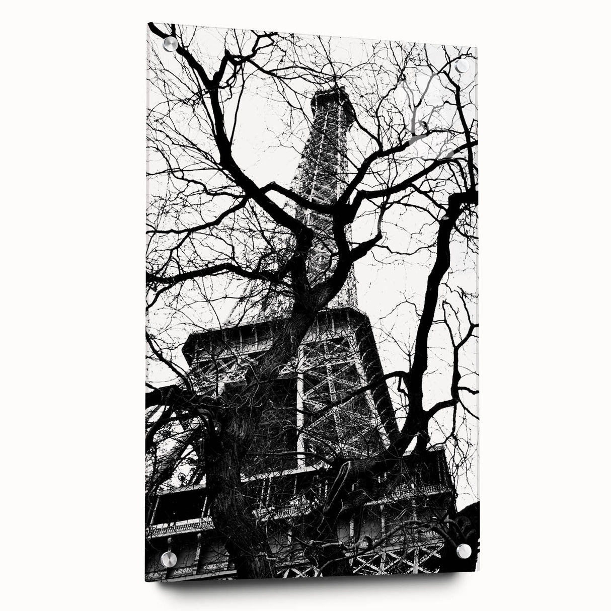 Eiffel Tower Silhouette - Fine Art Photography Framed Prints