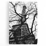 Eiffel Tower Silhouette - Fine Art Photography Framed Prints