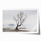 Moody Modern Wall Art – Minimalist Lone Tree & Misty Landscape