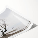 Moody Modern Wall Art – Minimalist Lone Tree & Misty Landscape