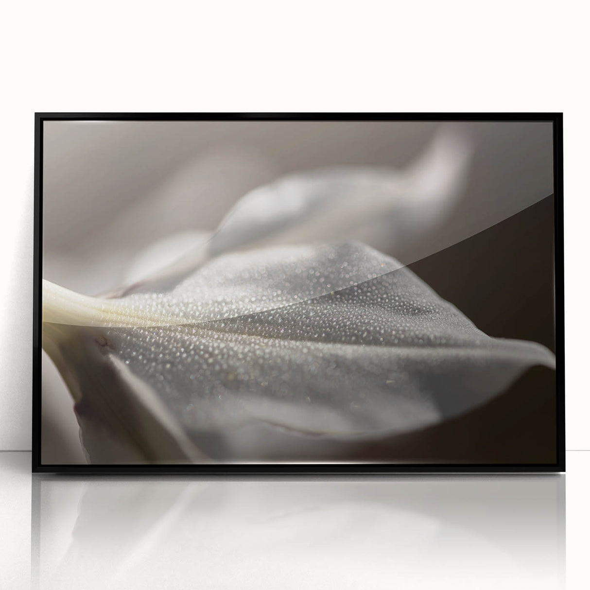 Dew-Kissed Leaf - Fine Art Photography Limited Edition Prints