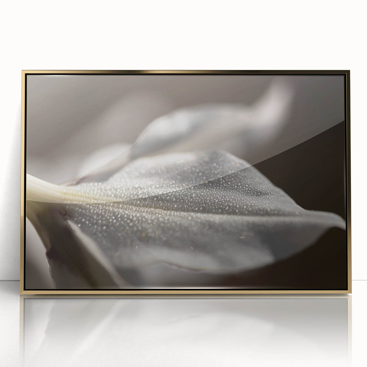 Dew-Kissed Leaf - Fine Art Photography Limited Edition Prints