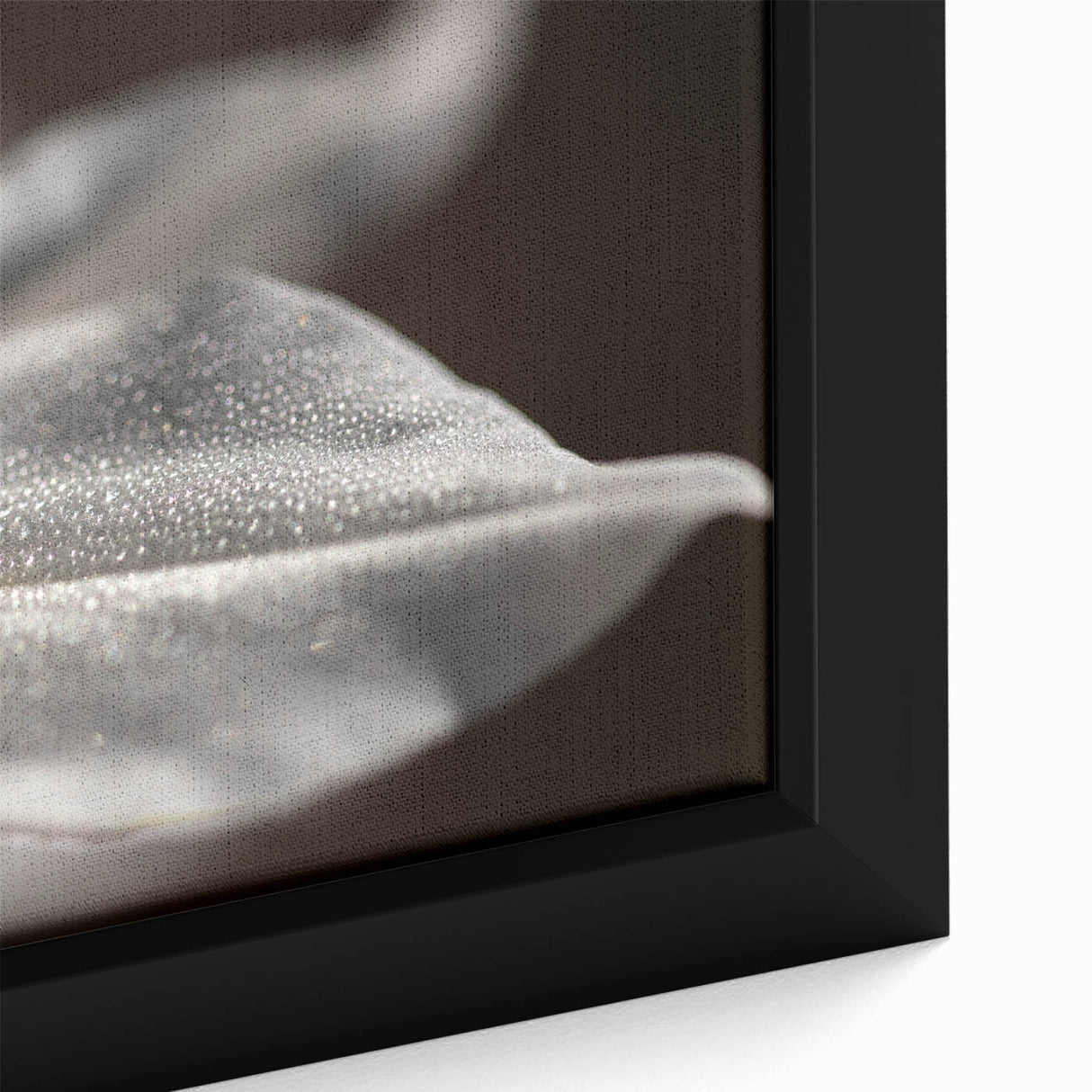 Dew-Kissed Leaf - Fine Art Photography Limited Edition Prints