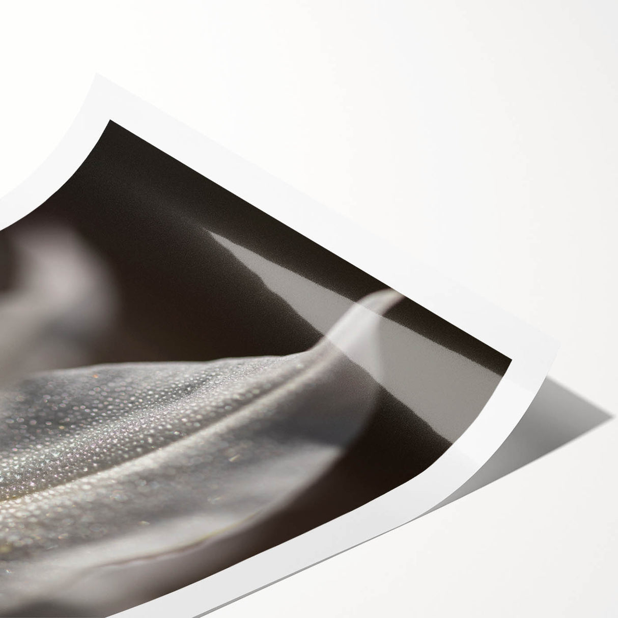 Dew-Kissed Leaf - Fine Art Photography Limited Edition Prints