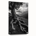 Ancient Roots and Mountains - Fine Art Photography Canvas Prints