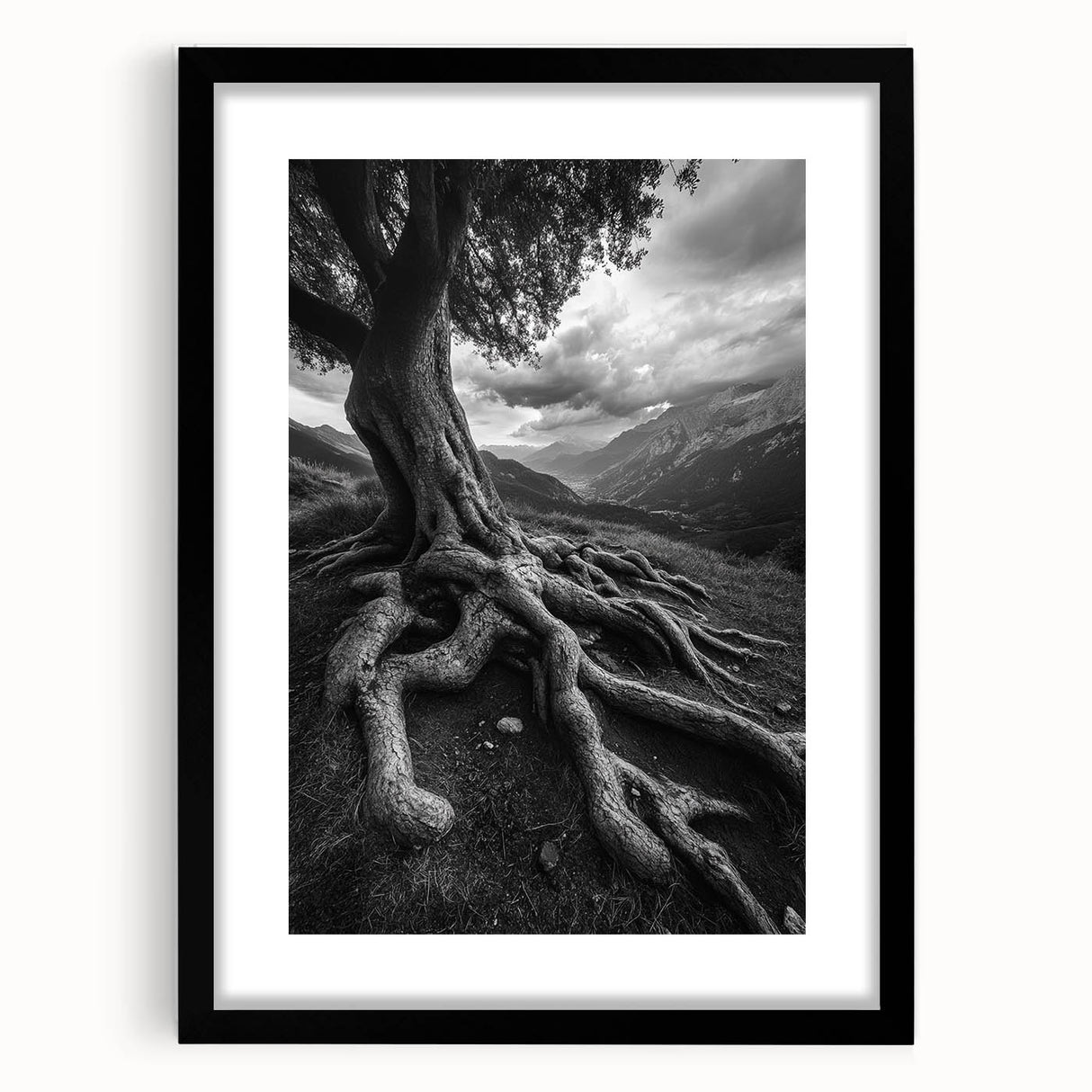 Ancient Roots and Mountains - Fine Art Photography Canvas Prints
