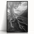 Ancient Roots and Mountains - Fine Art Photography Canvas Prints
