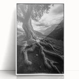 Ancient Roots and Mountains - Fine Art Photography Canvas Prints