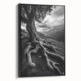 Ancient Roots and Mountains - Fine Art Photography Canvas Prints