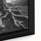 Ancient Roots and Mountains - Fine Art Photography Canvas Prints