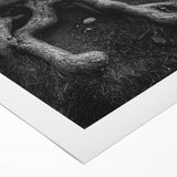 Ancient Roots and Mountains - Fine Art Photography Canvas Prints