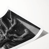 Ancient Roots and Mountains - Fine Art Photography Canvas Prints