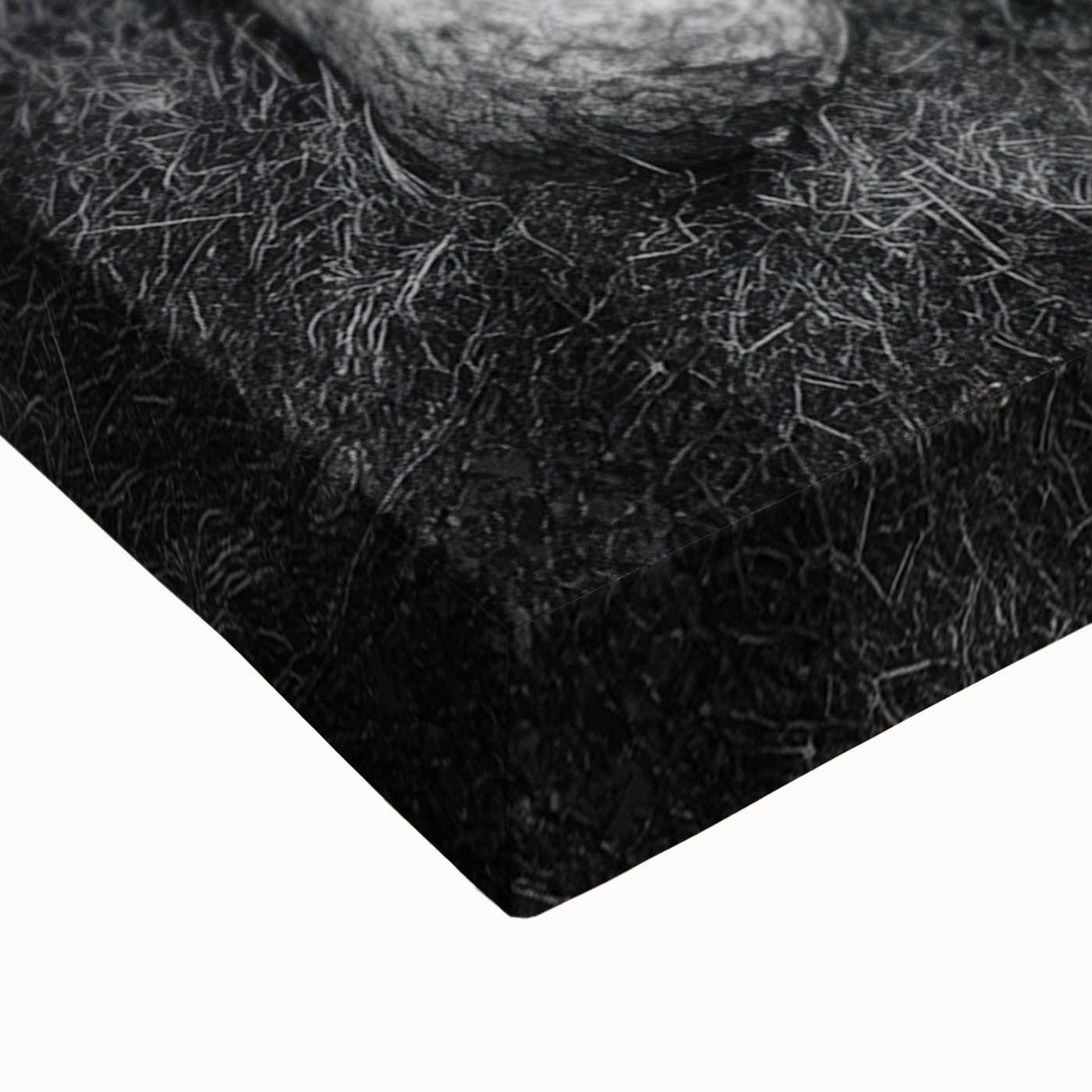 Ancient Roots and Mountains - Fine Art Photography Canvas Prints