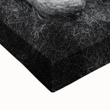 Ancient Roots and Mountains - Fine Art Photography Canvas Prints