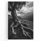 Ancient Roots and Mountains - Fine Art Photography Canvas Prints
