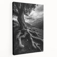 Ancient Roots and Mountains - Fine Art Photography Canvas Prints