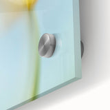 Dreamy Tulip in Soft Focus - Fine Art Photography Canvas Prints