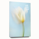 Dreamy Tulip in Soft Focus - Fine Art Photography Canvas Prints