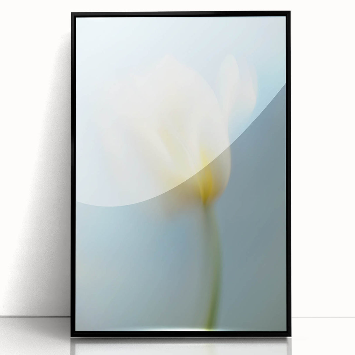 Dreamy Tulip in Soft Focus - Fine Art Photography Canvas Prints