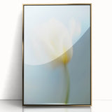 Dreamy Tulip in Soft Focus - Fine Art Photography Canvas Prints