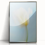 Dreamy Tulip in Soft Focus - Fine Art Photography Canvas Prints