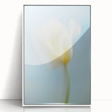 Dreamy Tulip in Soft Focus - Fine Art Photography Canvas Prints