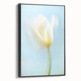 Dreamy Tulip in Soft Focus - Fine Art Photography Canvas Prints