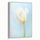 Dreamy Tulip in Soft Focus - Fine Art Photography Canvas Prints