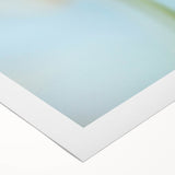 Dreamy Tulip in Soft Focus - Fine Art Photography Canvas Prints