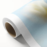 Dreamy Tulip in Soft Focus - Fine Art Photography Canvas Prints