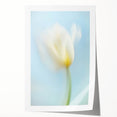 Dreamy Tulip in Soft Focus - Fine Art Photography Canvas Prints