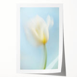 Dreamy Tulip in Soft Focus - Fine Art Photography Canvas Prints