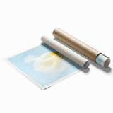 Dreamy Tulip in Soft Focus - Fine Art Photography Canvas Prints