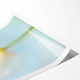 Dreamy Tulip in Soft Focus - Fine Art Photography Canvas Prints