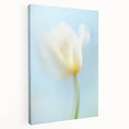 Dreamy Tulip in Soft Focus - Fine Art Photography Canvas Prints