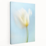 Dreamy Tulip in Soft Focus - Fine Art Photography Canvas Prints