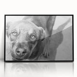 Urban Architectural Wall Art – Black and White Dog Photography