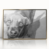 Urban Architectural Wall Art – Black and White Dog Photography