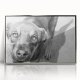Urban Architectural Wall Art – Black and White Dog Photography
